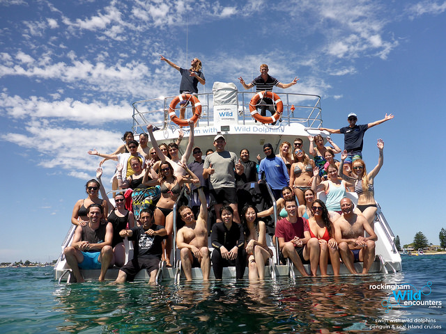 Swim with dolphins in Australia