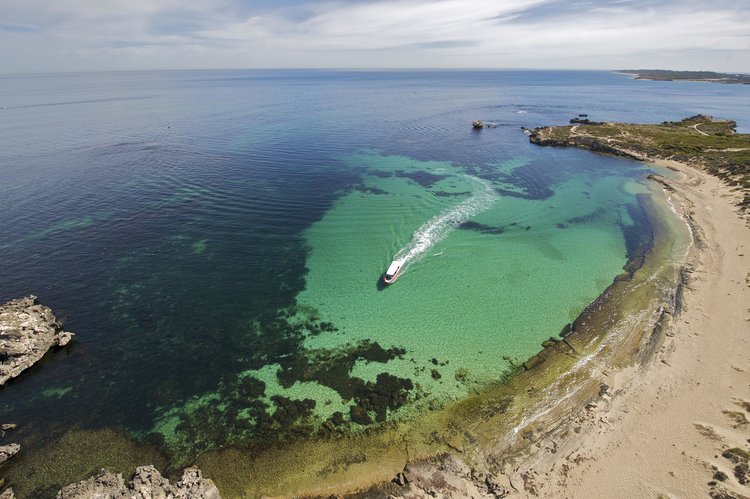 Penguin Island WA