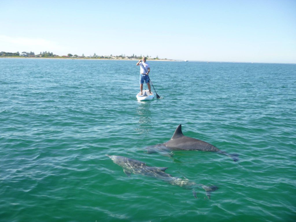 SUP Stand Up Paddle WA